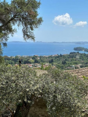 Lemon Tree Cottage - Agios Markos - Corfu